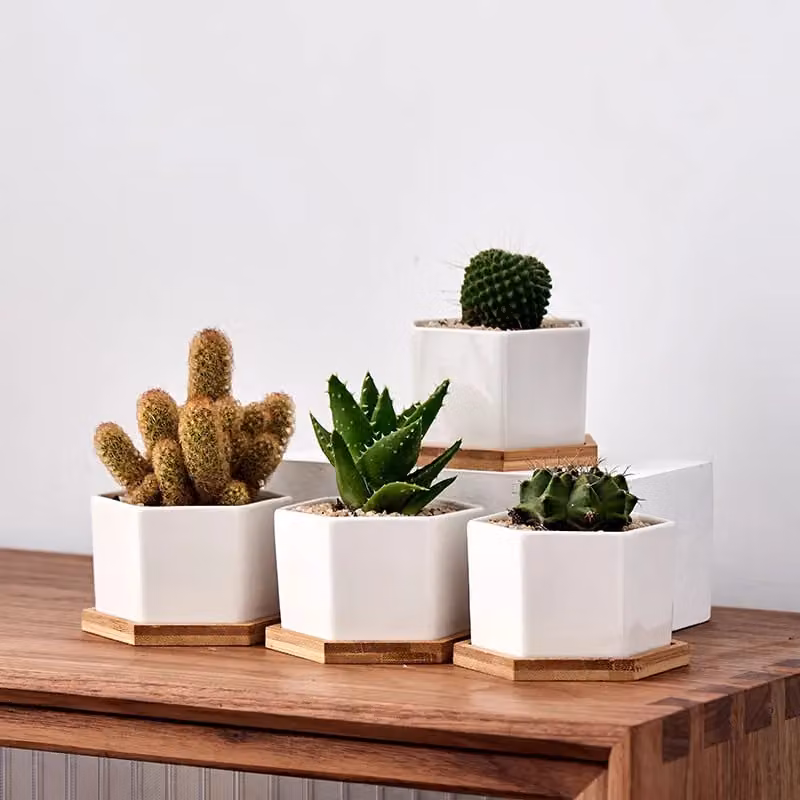 Simpa 6-Piece White Hexagonal Ceramic Tabletop Plant Pots with Bamboo Bases – 4