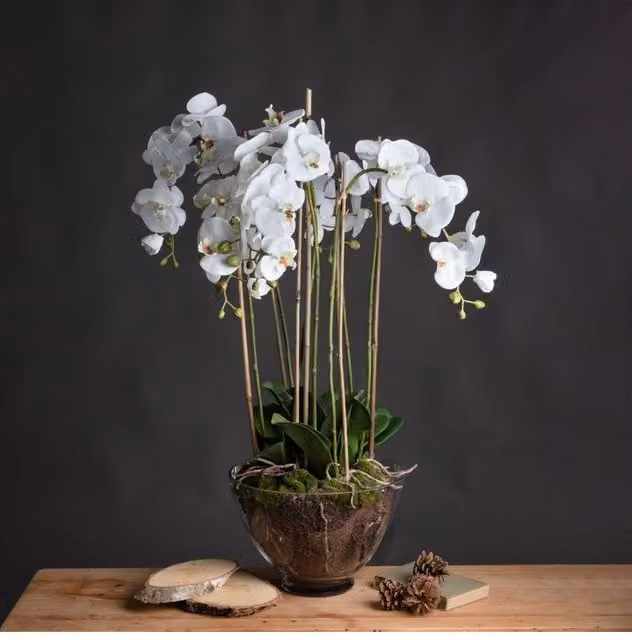 KDMD Elegant White Orchid in a Transparent Glass Pot for Modern Tabletop Decor – 1