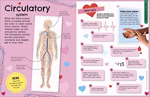 DK Fact-Packed Activity Book: Human Body Multicolour Paperback – 4