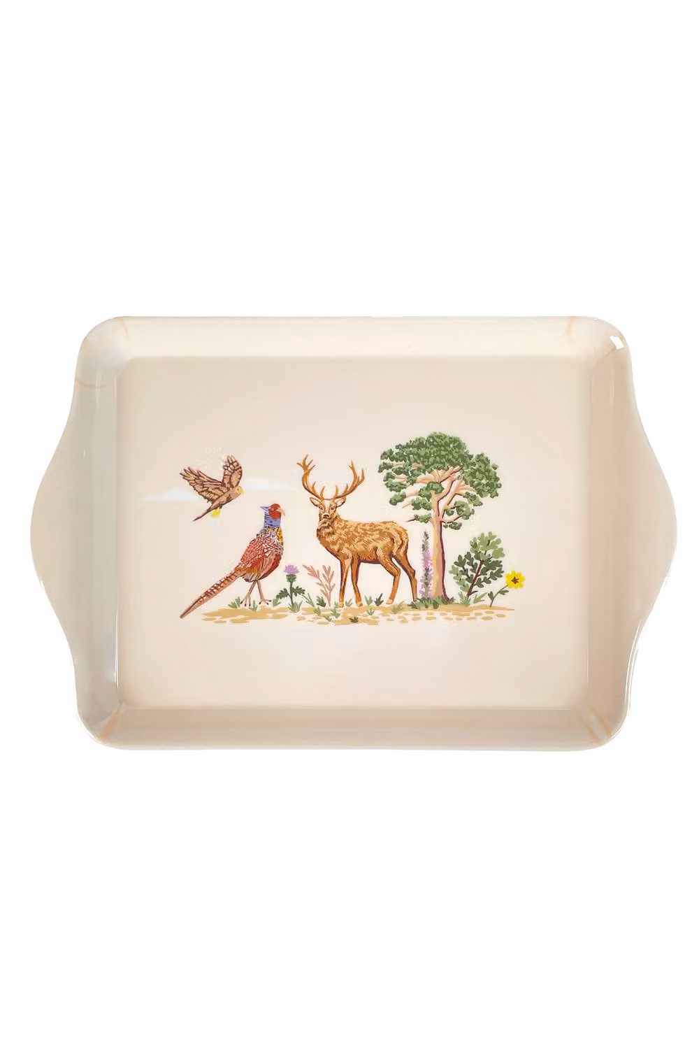 Ulster Weavers Thistlewood Highland Inspired Floral Print Melamine Scatter Tray in Beige and Green, W: 21.0 cm, D: 14.0 cm – 2