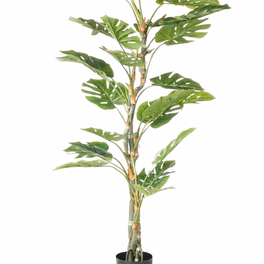 Wyld and Coco 155 cm Potted Artificial Monstera Realistic Green Faux Plant – 2