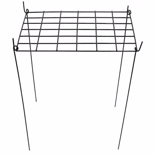 Garden Gear Black Metal Rectangle Grow Through Grid Plant Support, W/D/H: 40 x 40 x 50 cm – 1
