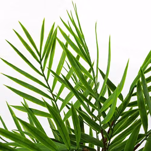 Leaf Design Green Artificial Hanging Plants Multipack, 6 x 40 cm – 3