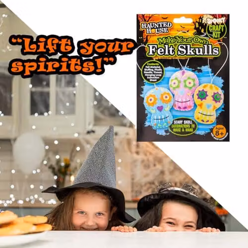 VFM e-Store Halloween Skulls Felt Weaving Craft Kit, Multicolour – 8