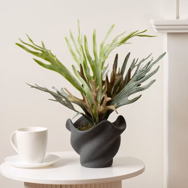 Scottish Everlastings Ltd Sea Greens Potted Plant in Green Cement Shell Pot, Height: 53 cm