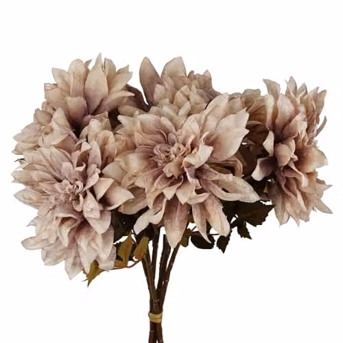 Leaf Pack of 6 Dusty Pink Artificial Dahlia Flower Stems, Height: 55 cm