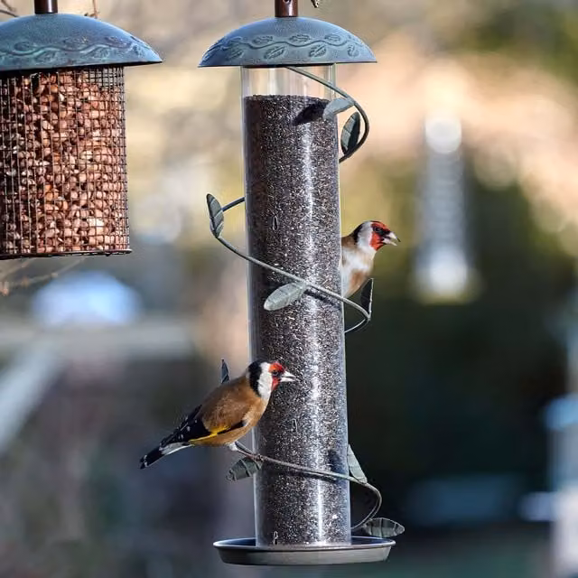 Peckish Secret Garden Spiral Finch Feeder in Brown and Grey Metal
