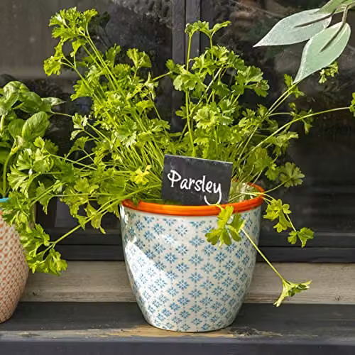 Nicola Spring Floral Patterned Ceramic Plant Pots, Blue and Orange, Pack of 2, Diameter: 14 cm, Height: 12.5 cm – 2