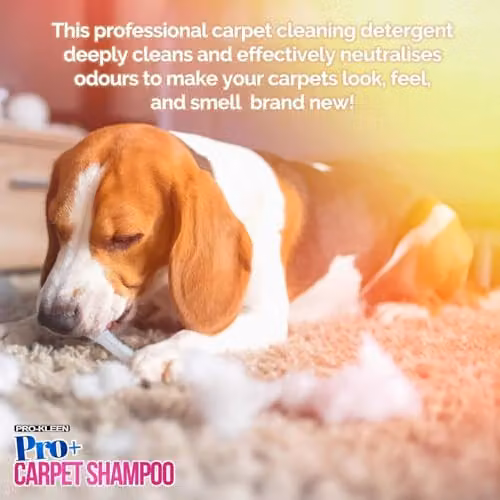 Pro-Kleen Pro+ 4 in 1 Carpet Cleaner Shampoo and Upholstery Cleaning Solution, 5L, Blue – 2