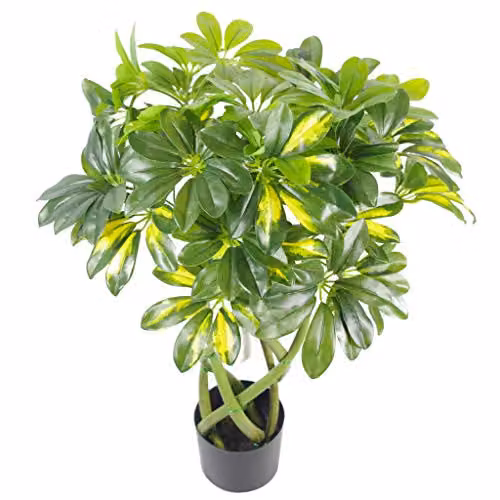 Leaf Design UK Gold Capella Arboricola Artificial Bonsai Bush with Pot, Green, Height: 70 cm