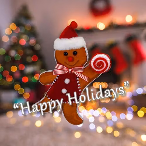 VFM e-Store Christmas Gingerbread Man Hanging Decoration, Red and Multicolour Textile Ornament, H 31 cm x W 7 cm – 4