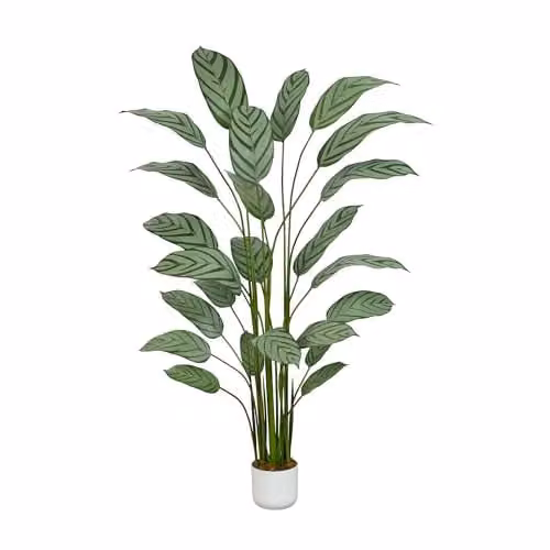 mcc direct Artificial Bird of Paradise Tree, Green, Height: 180 cm