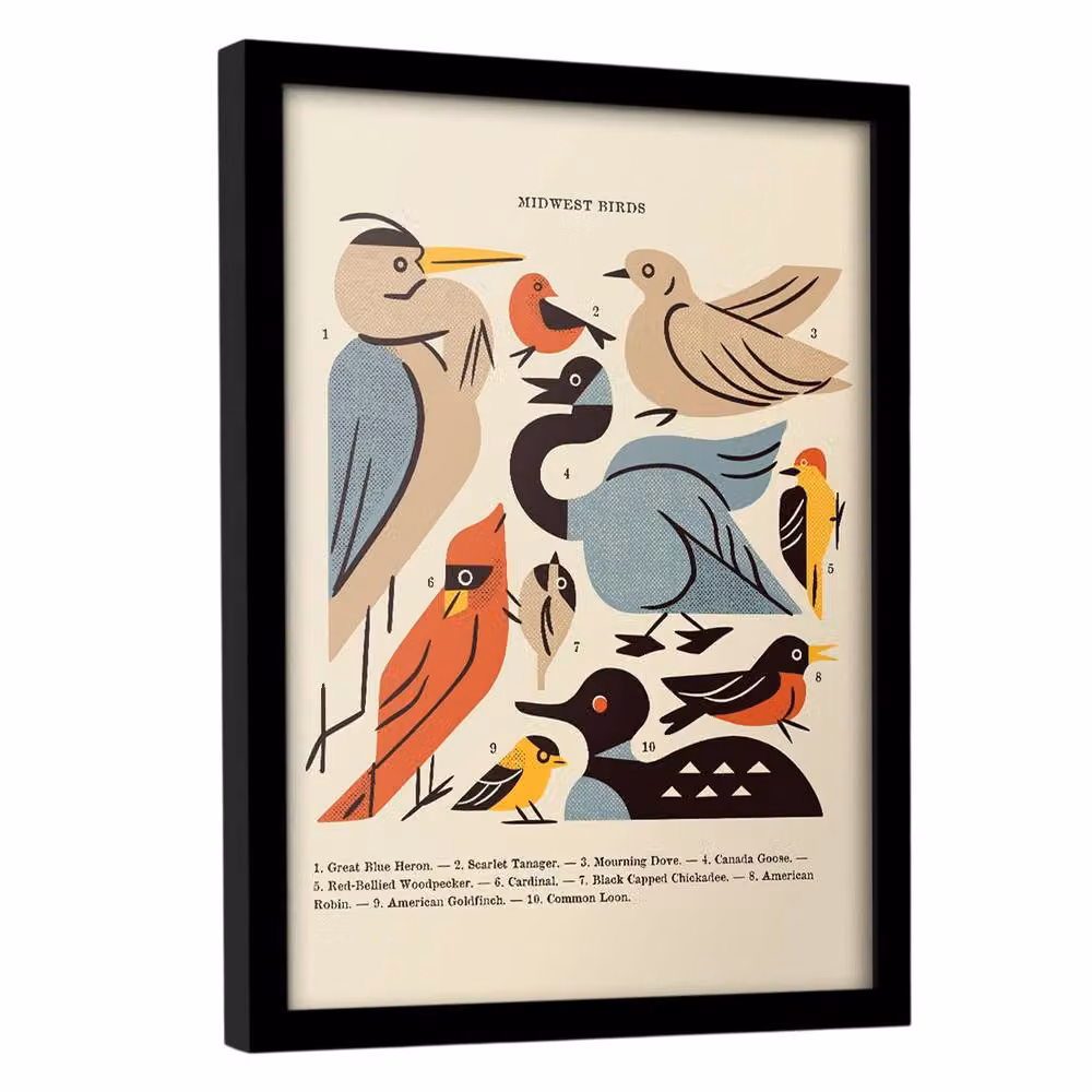 Midwest Birds Framed Paper Poster in Beige and Multicolour – 2