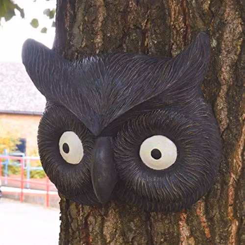 Burwells mysmartbuy Black Tawny Barn Owl Animal Sculpture, Polyresin Wall or Fence Decoration, H 16 x W 19 x D 4.5 cm – 2