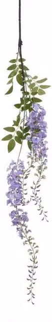Lemon Pavilion Purple Wisteria Spray Single Stem Flower, Height: 180 cm, Green – 1