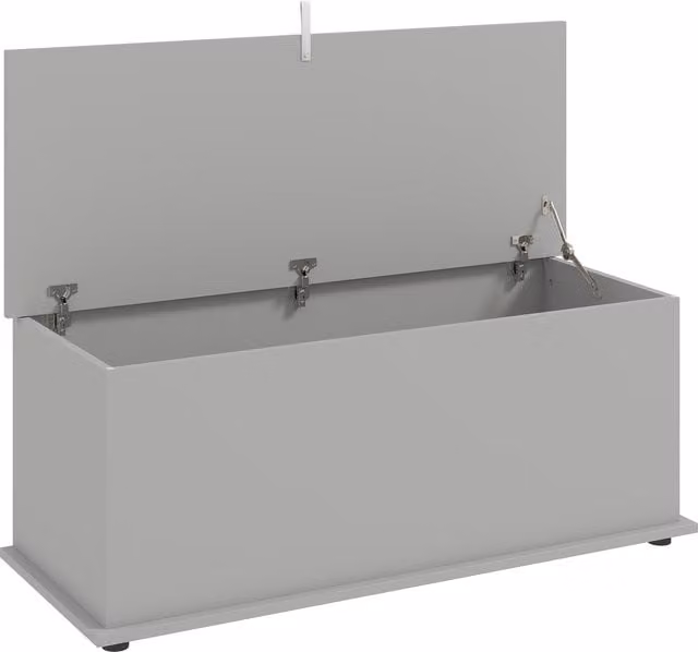 HOMCOM 113L Grey Storage Chest with Flip-Top Lid, W: 100 cm, D: 40 cm, H: 40 cm – 1