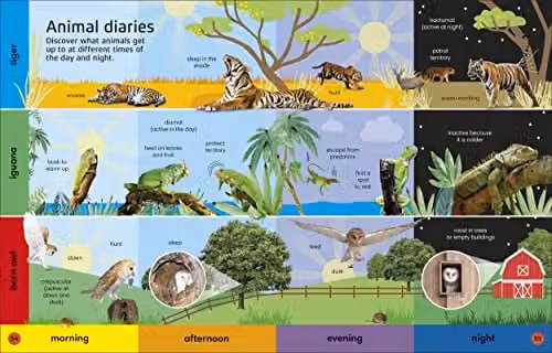 DK 1000 Animal Words Hardback Colour Picture Book – 3