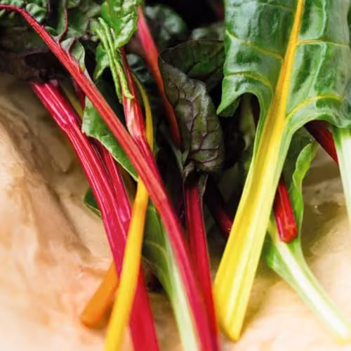 Thompson & Morgan Swiss Chard Bright Lights F1 Vegetable Seeds, Multicolour Stems, 100 Seeds – 1