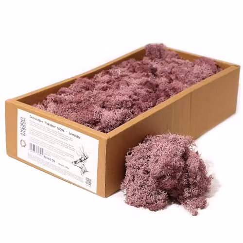 KDMD Decorative Reindeer Moss Granulate, Purple, 500 g