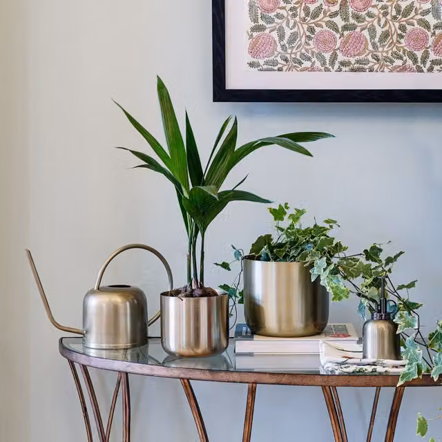 Royal Botanic Gardens Kew Matt Brass Watering Can in Gold – 1