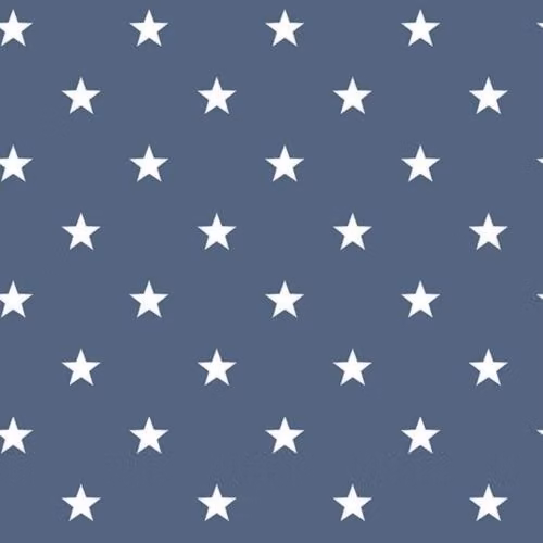 Galerie Deauville 2 Small Stars Geometric Abstract Wallpaper in White and Blue