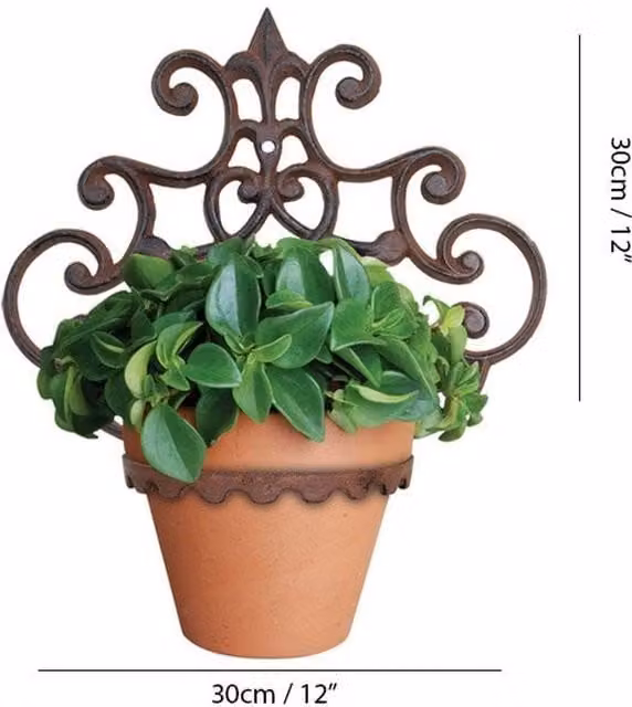 Fallen Fruits Black Cast Iron Wall Mounted Planter