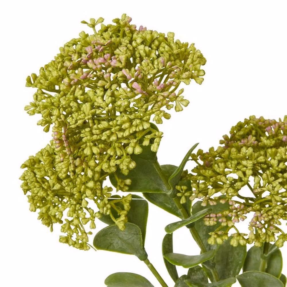 Lemon Pavilion Green Sedum Succulent Spray, Height: 58 cm – 2