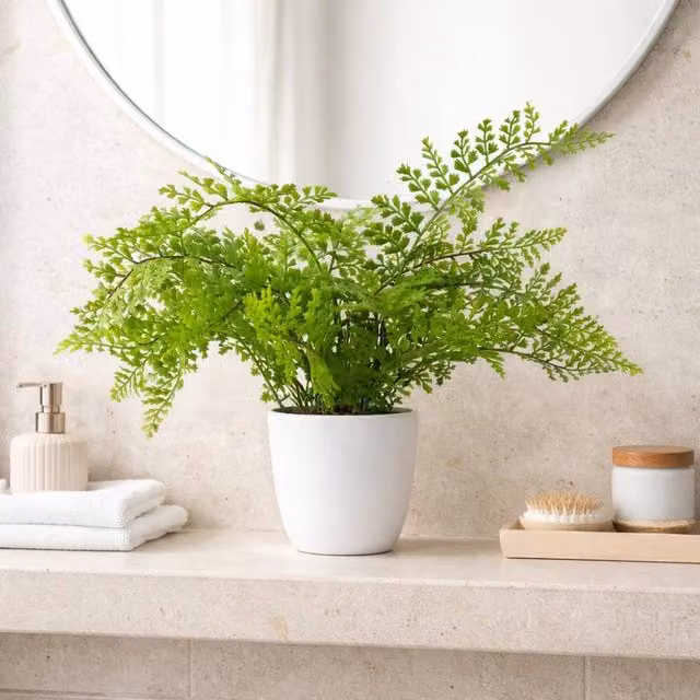 Botanik Premium Artificial Potted Fern Grass in Green, H 40 cm x W 40 cm x D 30 cm