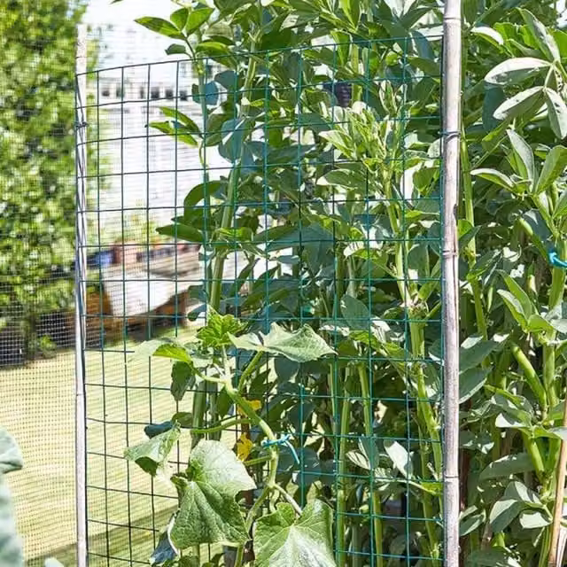Garden Mile Green Wire Mesh Garden Fencing