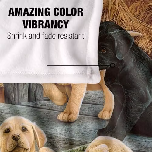 JQ Licensing Rle Labrador Pups Silky Touch Super Soft Fleece Throw Blanket, White, W: 152 cm, D: 127 cm – 3