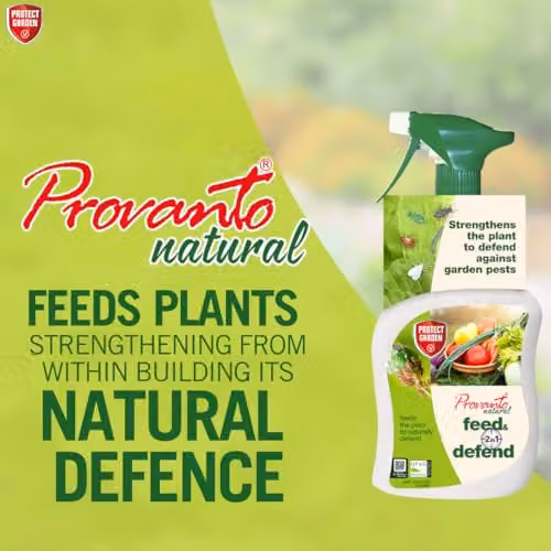 Provanto Organic Bug Plant Defence Spray, 1 l Biological Pest Control for Indoor Plants, Vegetable Gardens and Ornamental Gardens – 2