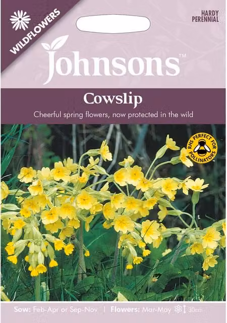 Johnsons Cowslip Wildflower Ornamental Garden Seeds, Yellow