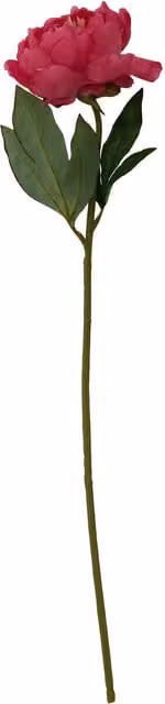 Premier Housewares Fiori Pink Peony Artificial Flower Stem, Height: 65 cm
