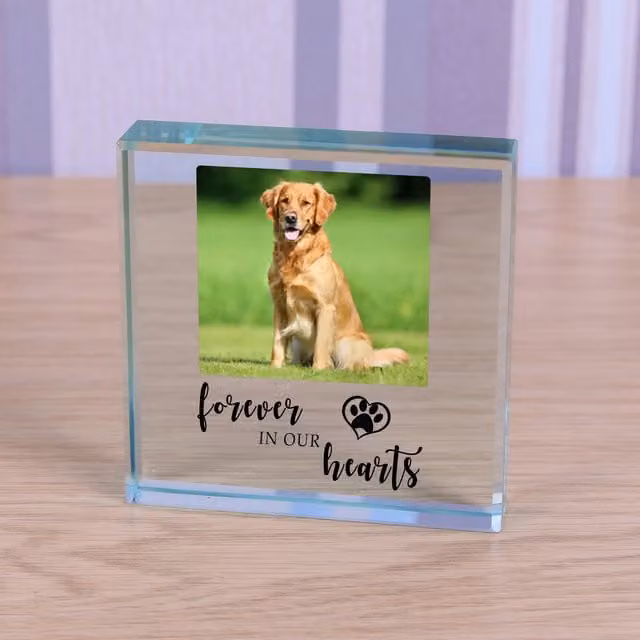 Uniqueful Personalised Forever in our Hearts Pet Memory Glass Token in Transparent and Beige