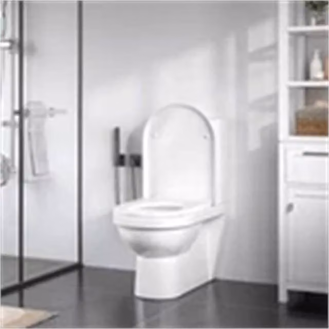 WOLTU White D-Shaped Soft Close Toilet Seat – 1