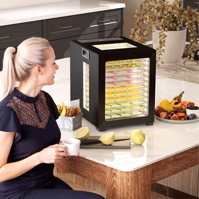 HOMCOM Food Dehydrator with Stainless Steel Trays and Timer, Black