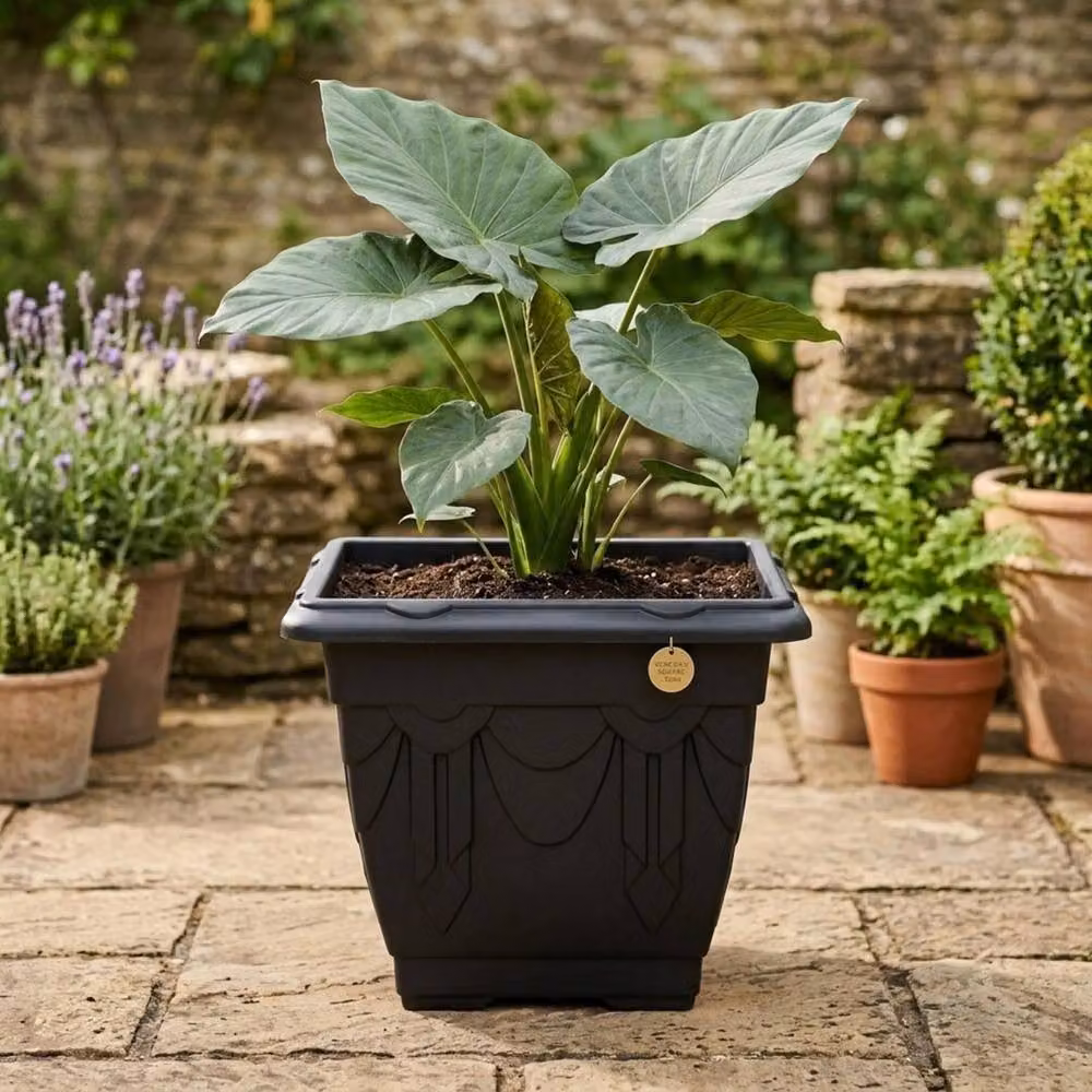 Kelvenix Black Venetian Square Planter 30cm Garden Pot for Flowers and Herbs – 3