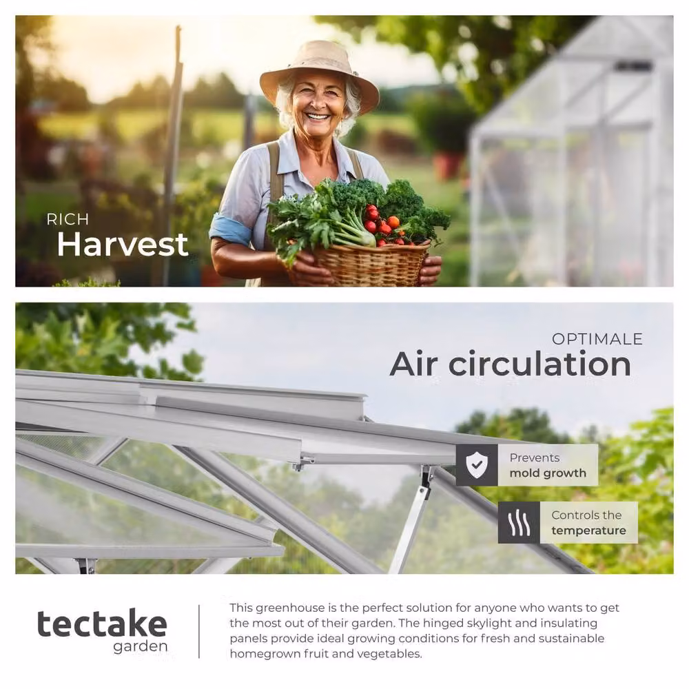 tectake Aluminium Greenhouse with Transparent Polycarbonate Panels and Sliding Windows, W/D/H: 185 x 250 x 195 cm – 4