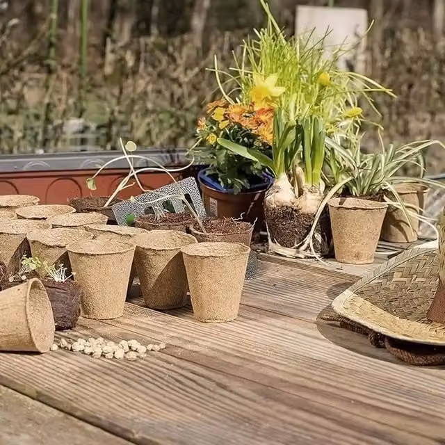 FLAVORA 200CS Grow It Biodegradable Fibrene Planter Pot, Brown, Diameter: 6 cm – 1