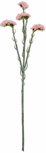 Lemon Pavilion Pink Statis Artificial Spray Flower in Light Pink, W: 10 cm, D: 18 cm, H: 64 cm