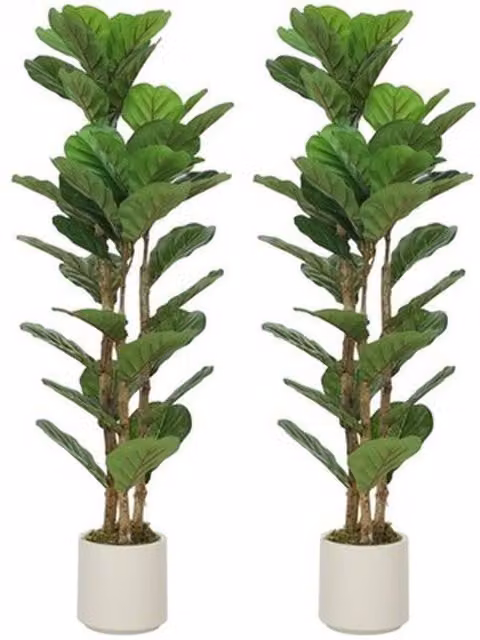 NESTLUNE Set of 2 Artificial Fiddle Leaf Fig Trees with Solid Wood Trunks, Green, H 120 cm x W 15 cm x D 15 cm
