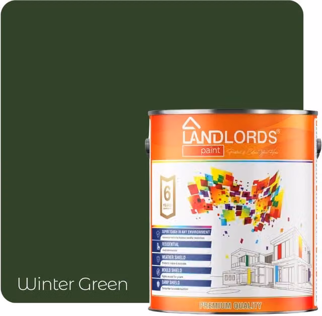Landlords Paint Roof Paint in Winter Green, 5 l – 1