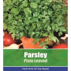 De Ree Plain Leaved Parsley Herb Seeds, 170 Seeds