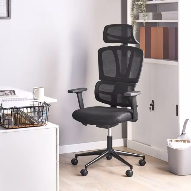 Wyld and Coco Black Mesh Ergonomic Office Chair with Adjustable Headrest and Seat Depth – 1