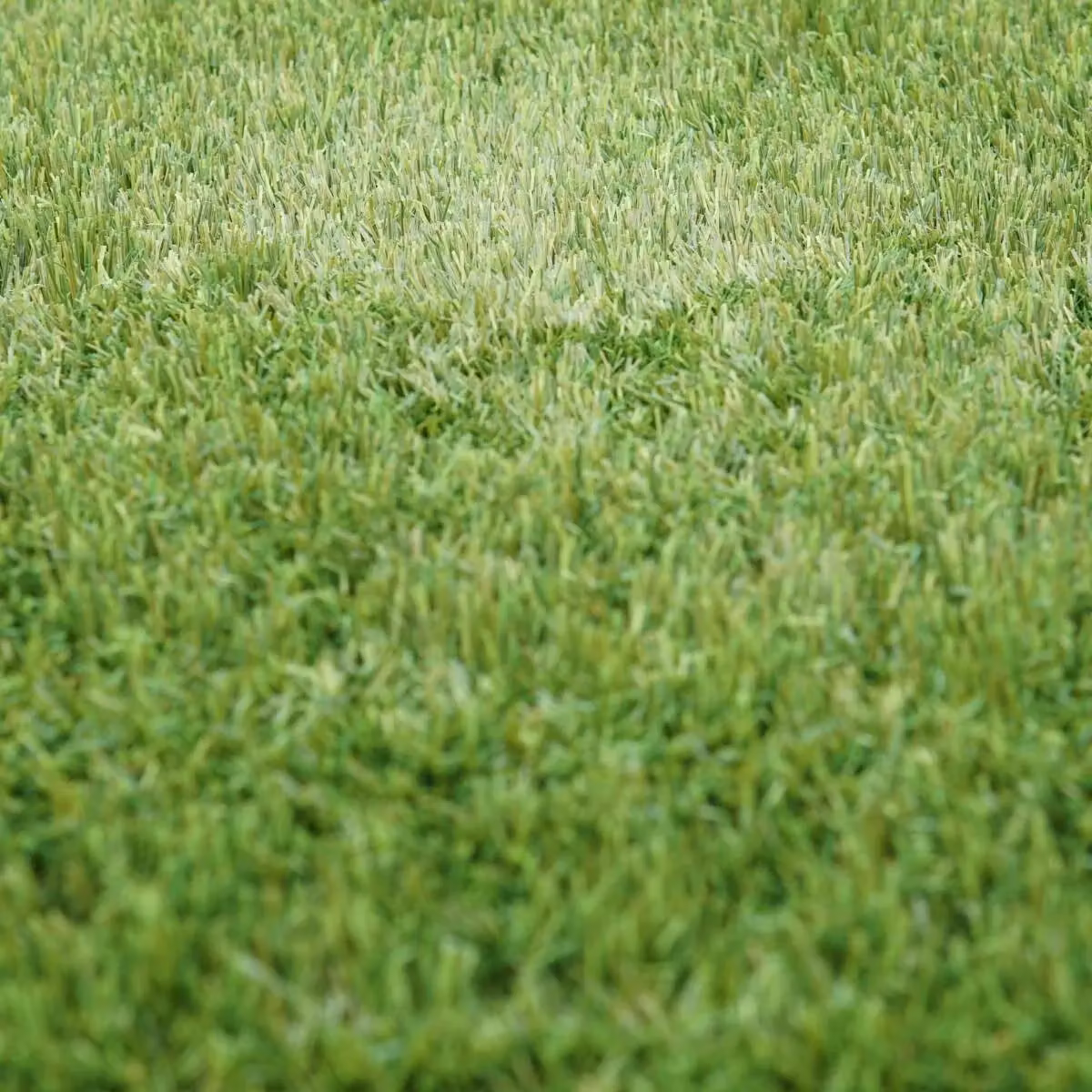 Artificial Grass GB Shamrock 40mm Artificial Grass in Green, W: 400 cm, L: 900 cm – 4