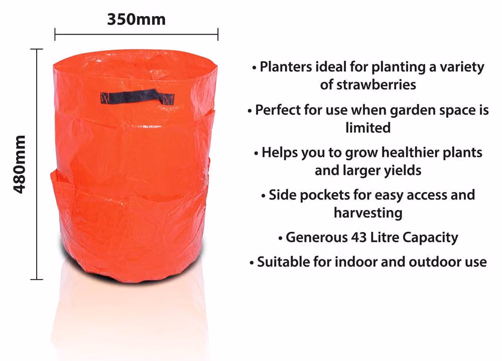 St Helens Home & Garden Red Strawberry Grow Bag Planter, 48L – 2