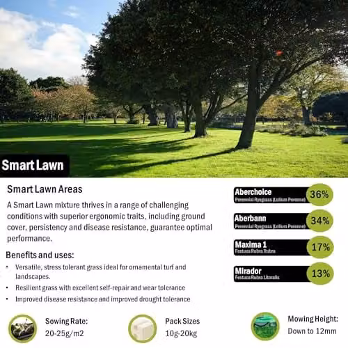 PDL Pegdev Smart Lawn Grass Seed, High-Yield and Resilient Green Seed for Gardens and Parks, 5kg