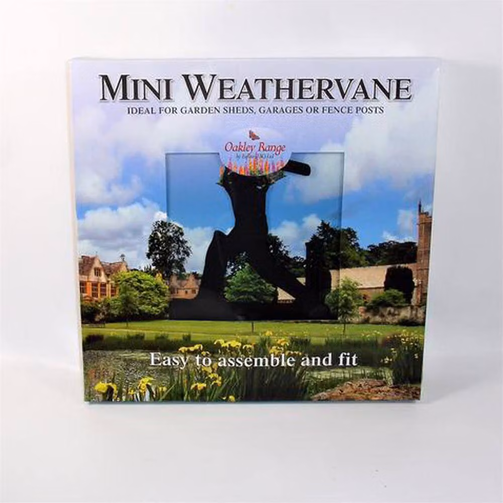 Buttercup Farm Mini Cricketer Steel Weathervane in Black, W38 x D38 x H50 cm – 2