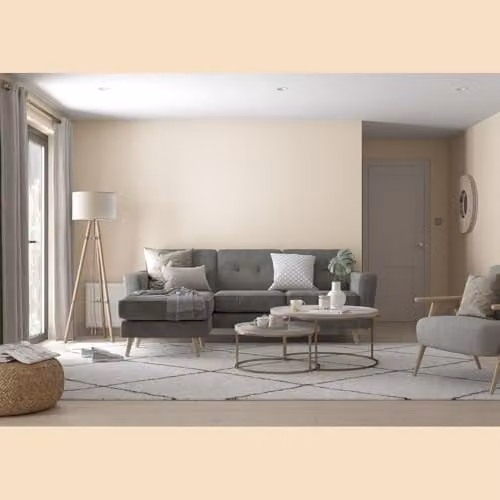 Dulux Trade Vinyl Matt Dispersion Paint in Honeysuckle, Multicolour, 5 l – 2