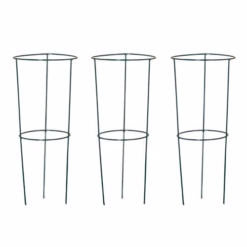Samuel Alexander Pack of 3 Urban Green Conical Garden Plant Support Rings in Dark Green, 20 cm – 4